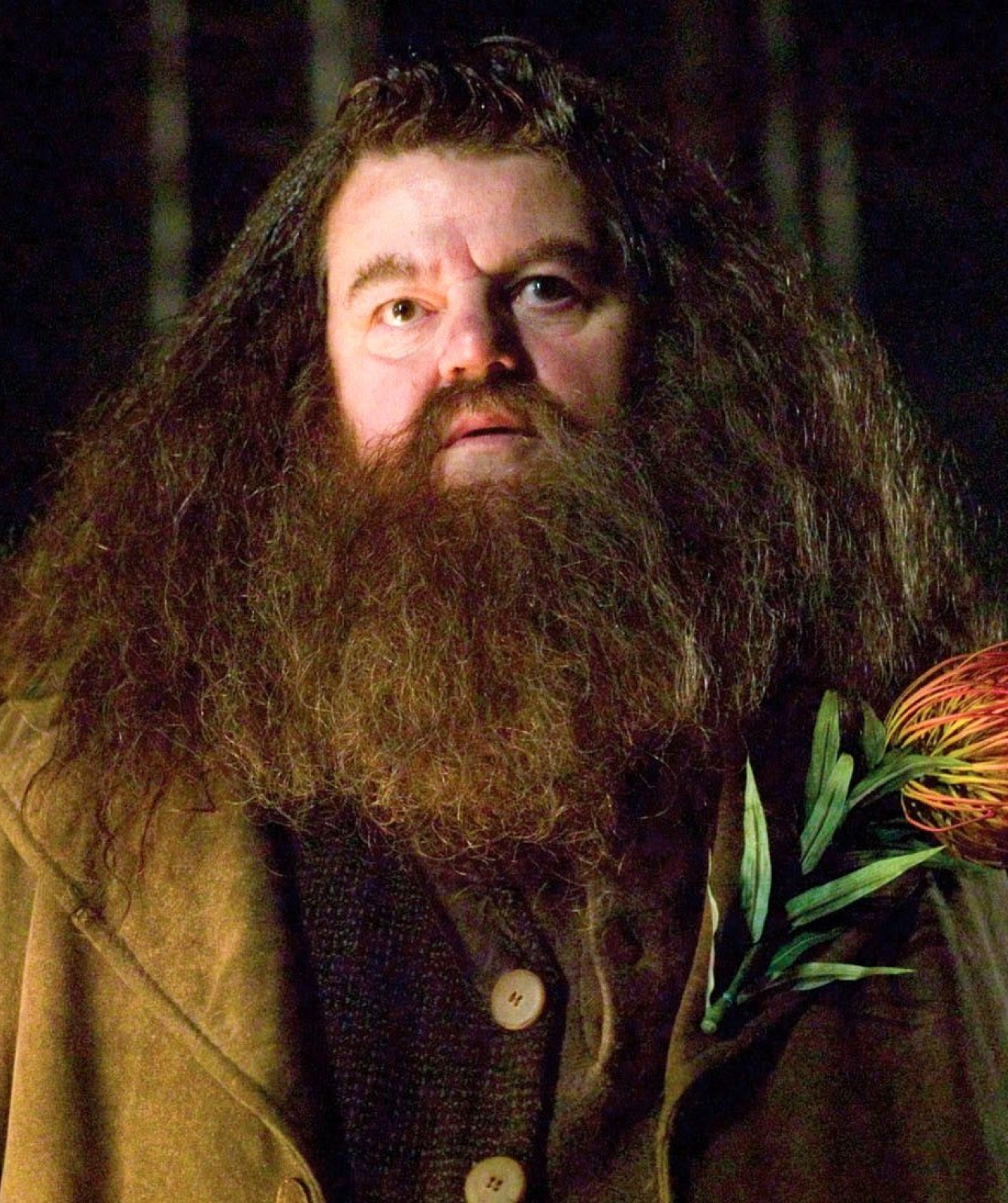 Hagrid